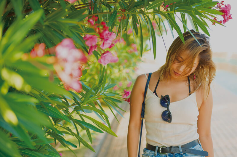 コンテンツイメージ4