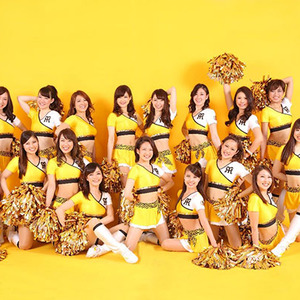 阪神タイガースオフィシャルファンサービスメンバー「Tigers Girls」の2016年度メンバー募集のサムネイル画像１