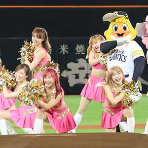 「ハニーズ」 2020年度メンバーオーディション開催！のサムネイル画像１