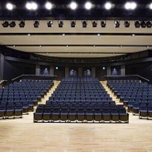 シェイクスピアLiveフェス in 江戸東京博物館「マクベス」キャスト・ダンサー募集のサムネイル画像１