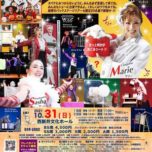 Team WiZ(ウィズ) イリュージョン・エンターテイメントショー ハロウィ-ン マジカル パーティー公演 出演者オーディション開催のサムネイル画像１