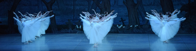 東京シティ・バレエ団　2023年夏季新規団員募集のサムネイル画像１