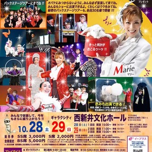 Team WiZ(ウィズ) イリュージョン・エンターテインメントショー 2023年 劇場公演出演者 追加募集！！のサムネイル画像１