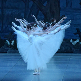 東京シティ・バレエ団 2024年新規団員募集オーディションのサムネイル画像１