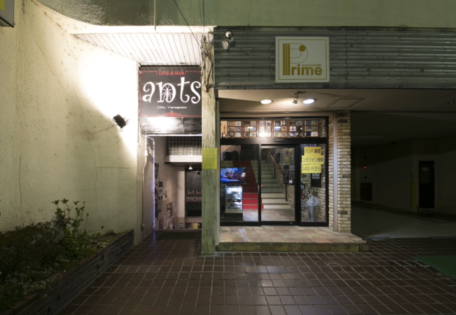 柳ヶ瀬ants画像1