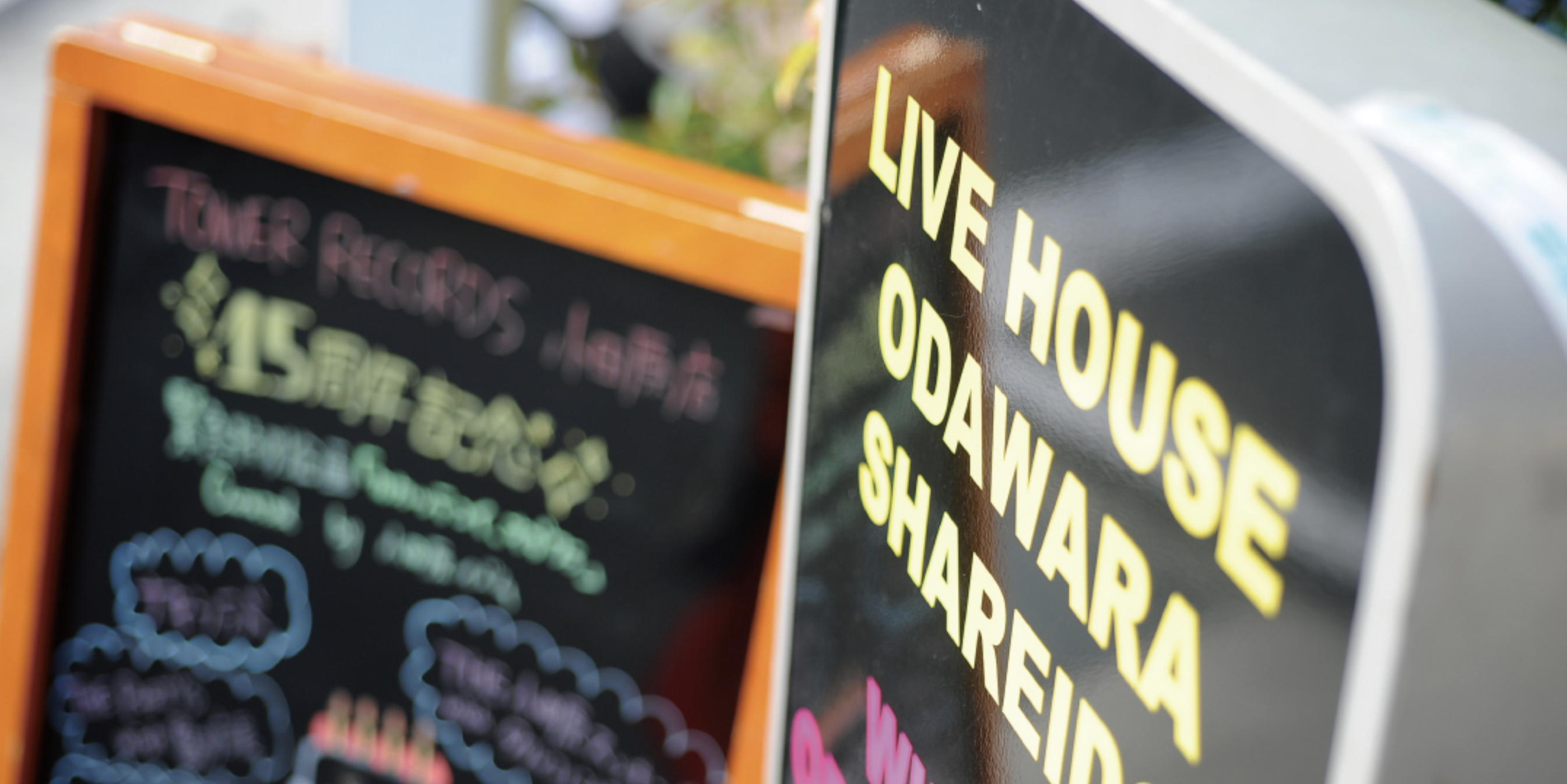 小田原姿麗人画像3