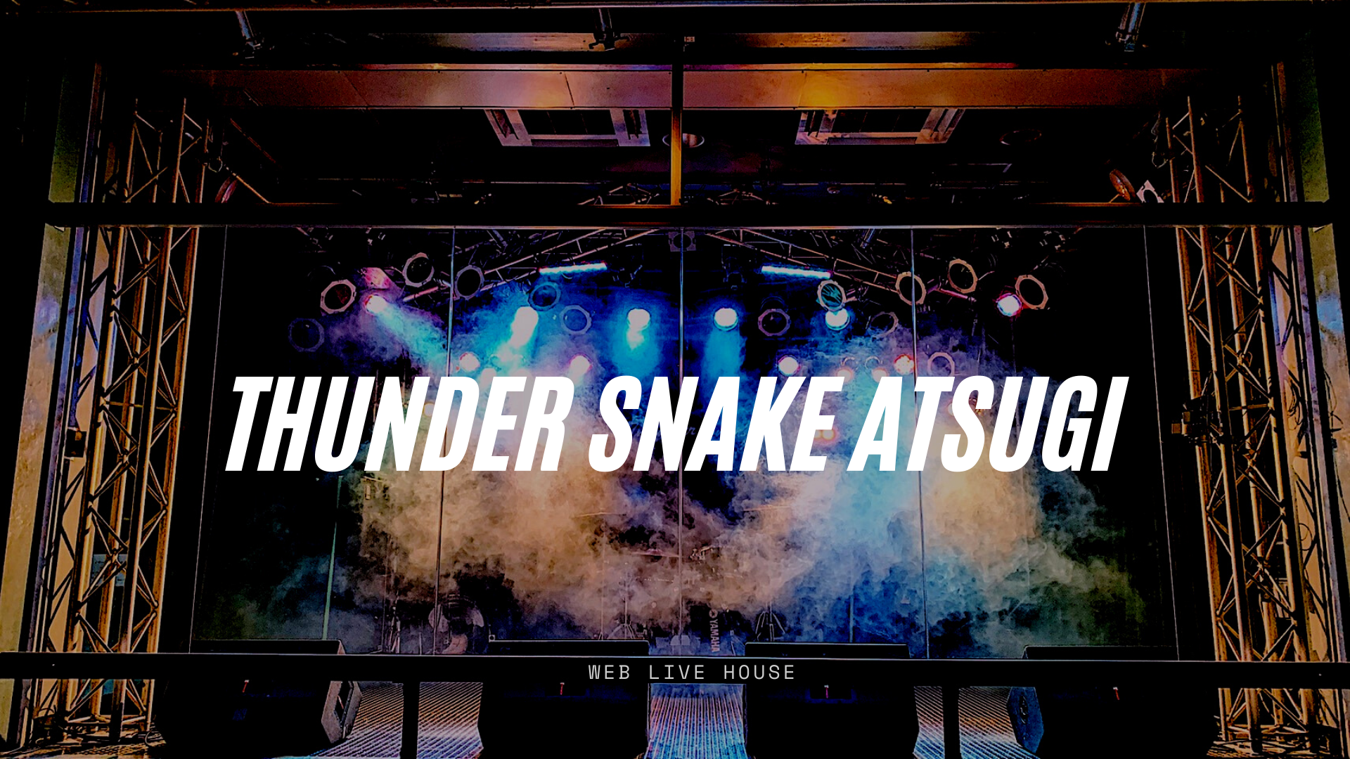 厚木サンダースネイク画像2