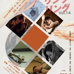 ダンスリンクリング Vol.14のサムネイル画像１