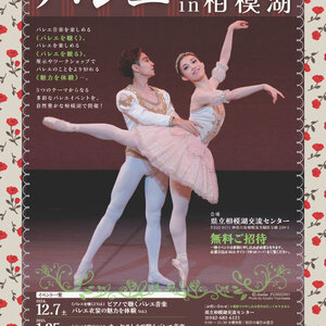 バレエフェスティバルin相模湖のサムネイル画像１