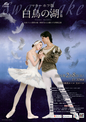 マラーホフ版『白鳥の湖』全幕のサムネイル画像１