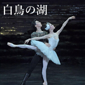 新国立劇場バレエ団　「白鳥の湖」のサムネイル画像１