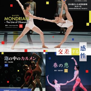 東京シティ・バレエ団　現代バレエⅡ「交差する感性/Crossing Visions」のサムネイル画像１