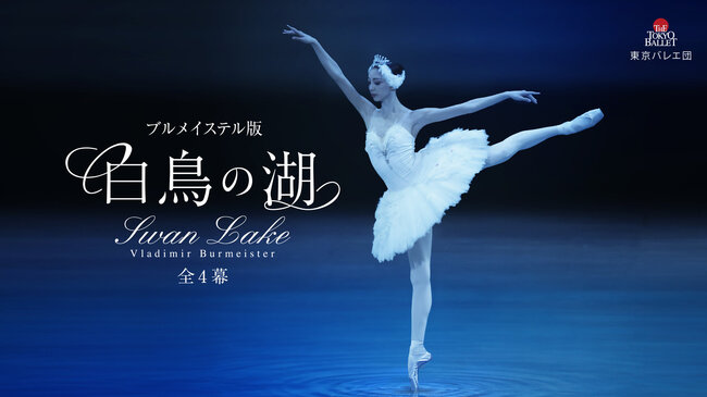 東京バレエ団　ブルメイステル版 「白鳥の湖」全4幕のサムネイル画像１