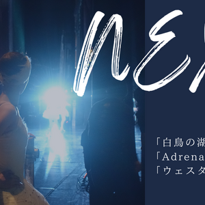 スターダンサーズ・バレエ団　「〈NEXT〉vol.3」のサムネイル画像１