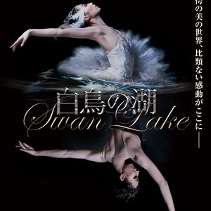 K-BALLET TOKYO 『白鳥の湖』のサムネイル画像１