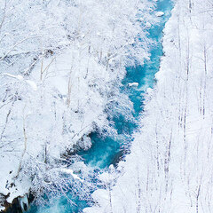 ダンサーは旅するもの：美瑛イメージ