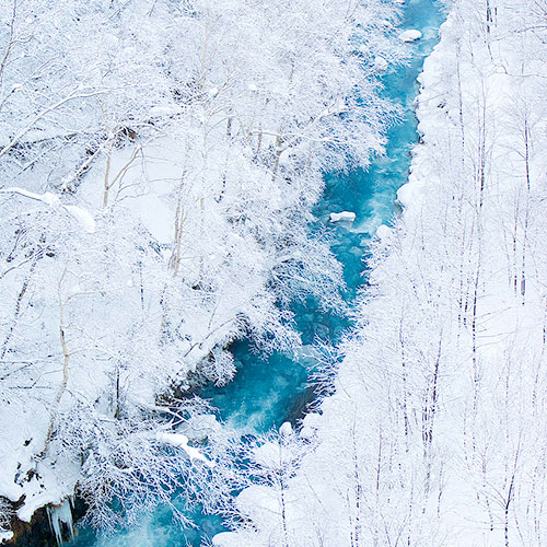 ダンサーは旅するもの：美瑛イメージ
