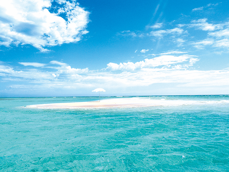ダンサーは旅するもの：ヨロン島（鹿児島）イメージ