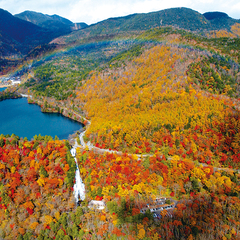 ダンサーは旅するもの：日光（栃木）イメージ