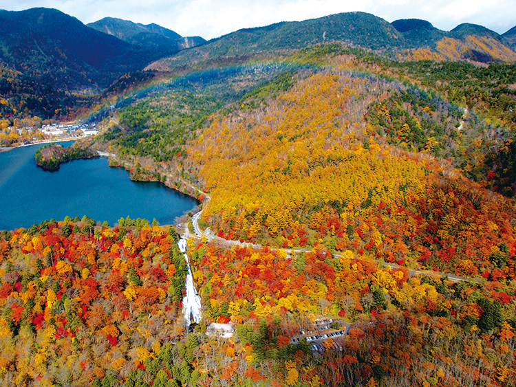 ダンサーは旅するもの：日光（栃木）イメージ