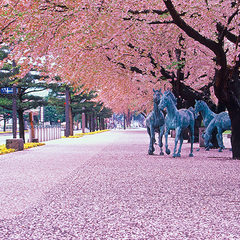 ダンサーは旅するもの：十和田市（青森）イメージ