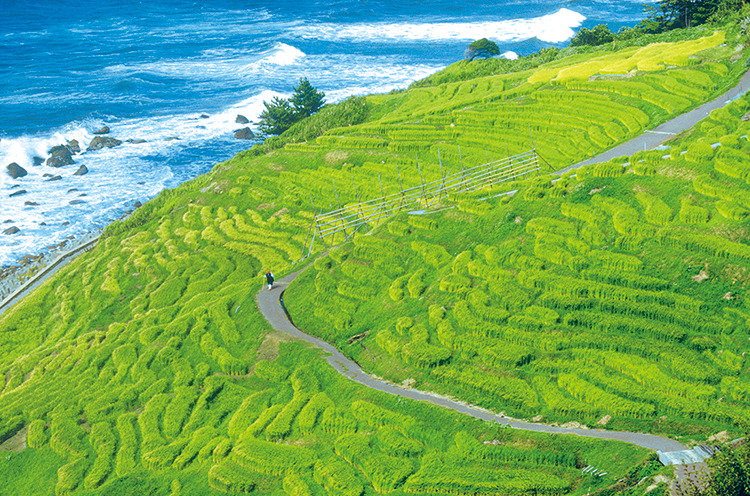 ダンサーは旅するもの：能登（石川）イメージ