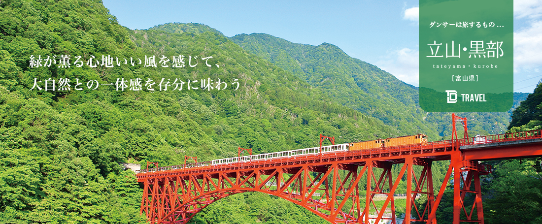 ダンサーは旅するもの：ヨロン島（鹿児島）のメイン画像