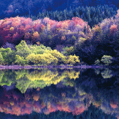 ダンサーは旅するもの：秋田イメージ