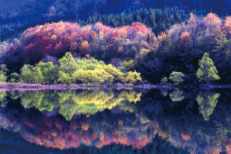 ダンサーは旅するもの：秋田イメージ