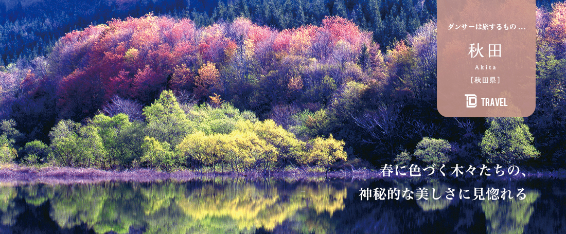 ダンサーは旅するもの：秋田のメイン画像