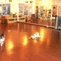 市ヶ谷防衛庁前貸スタジオ画像1