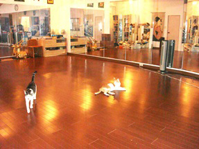 市ヶ谷防衛庁前貸スタジオ画像1