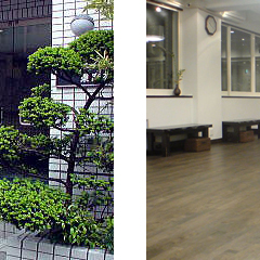 ラ・クンパルシータ画像1