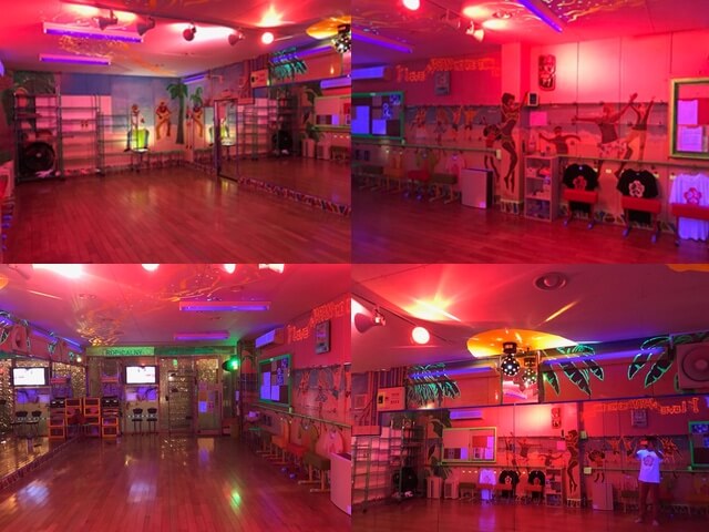 Tropical NY あおちゃんスタジオ画像2