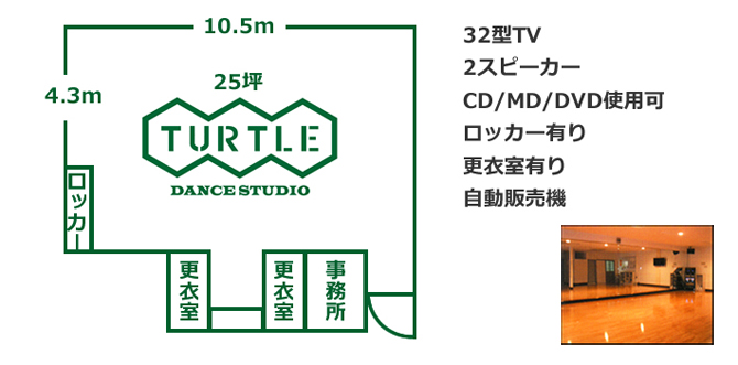 TURTLE画像1